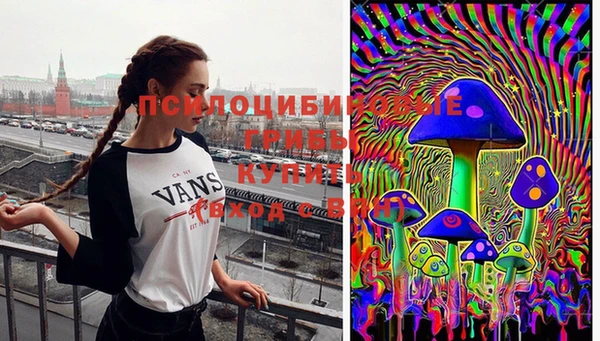 индика Володарск