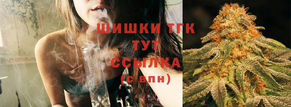 индика Володарск