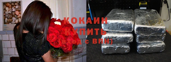 индика Володарск