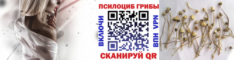 даркнет сайт  Гаджиево  Галлюциногенные грибы ЛСД 